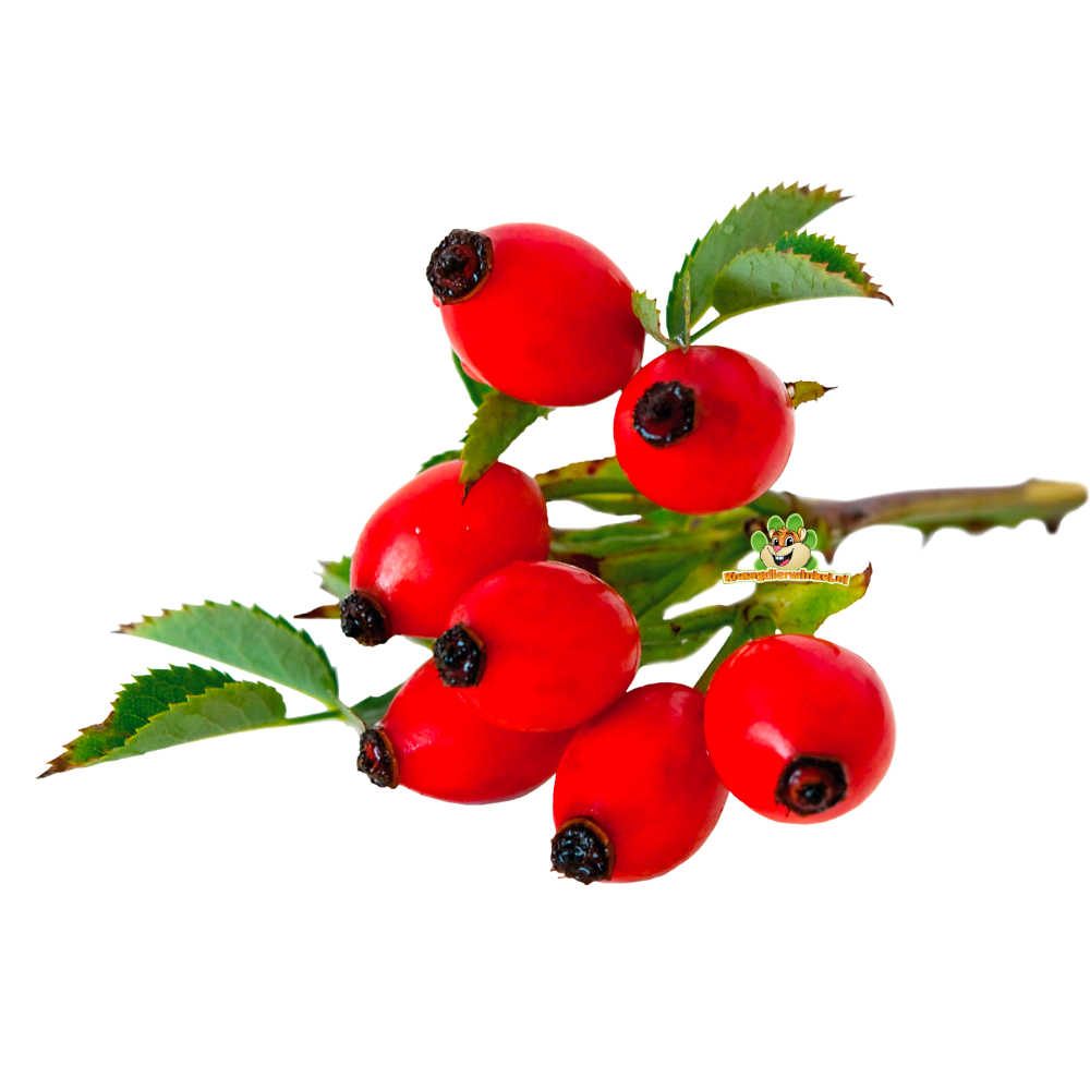 Külmkuivatatud Kibuvitsamarjad 30g BIO